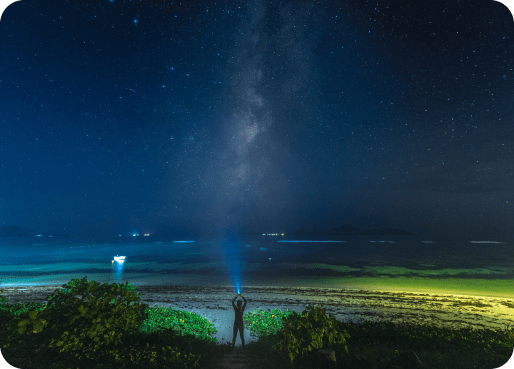 fiji-esim-why-esim-514x-369 3